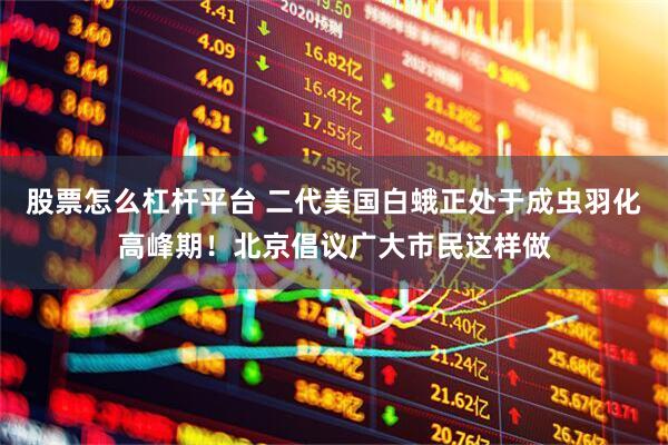 股票怎么杠杆平台 二代美国白蛾正处于成虫羽化高峰期！北京倡议广大市民这样做