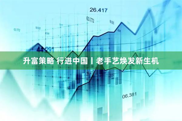升富策略 行进中国丨老手艺焕发新生机